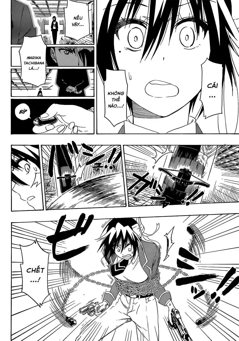 Nisekoi Chap 185 - Next Chap 186