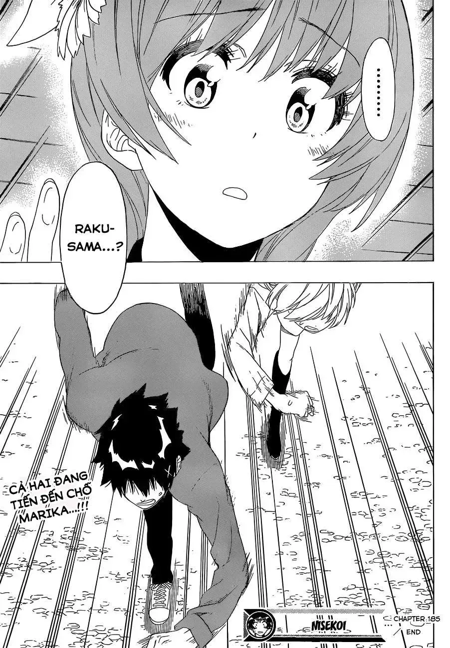 Nisekoi Chap 185 - Next Chap 186