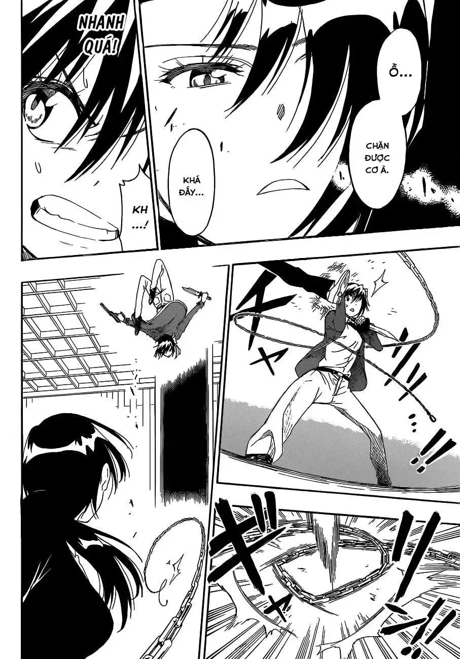 Nisekoi Chap 185 - Next Chap 186