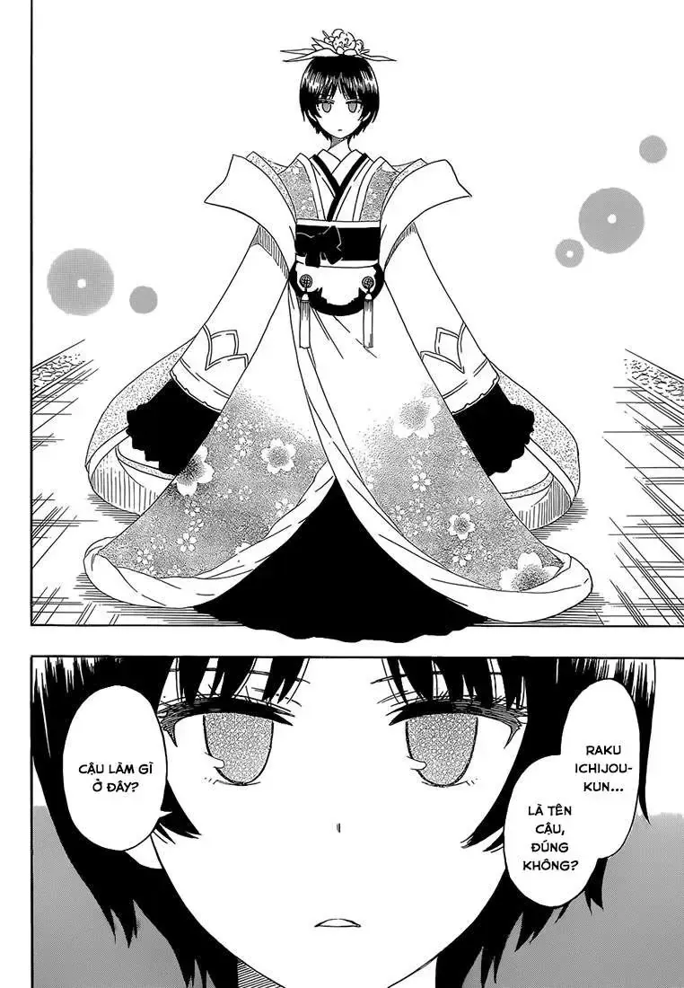 Nisekoi Chap 186 - Next Chap 187