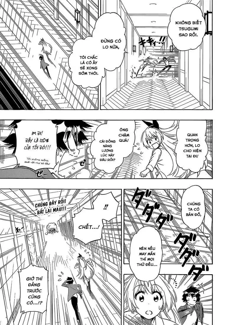 Nisekoi Chap 186 - Next Chap 187