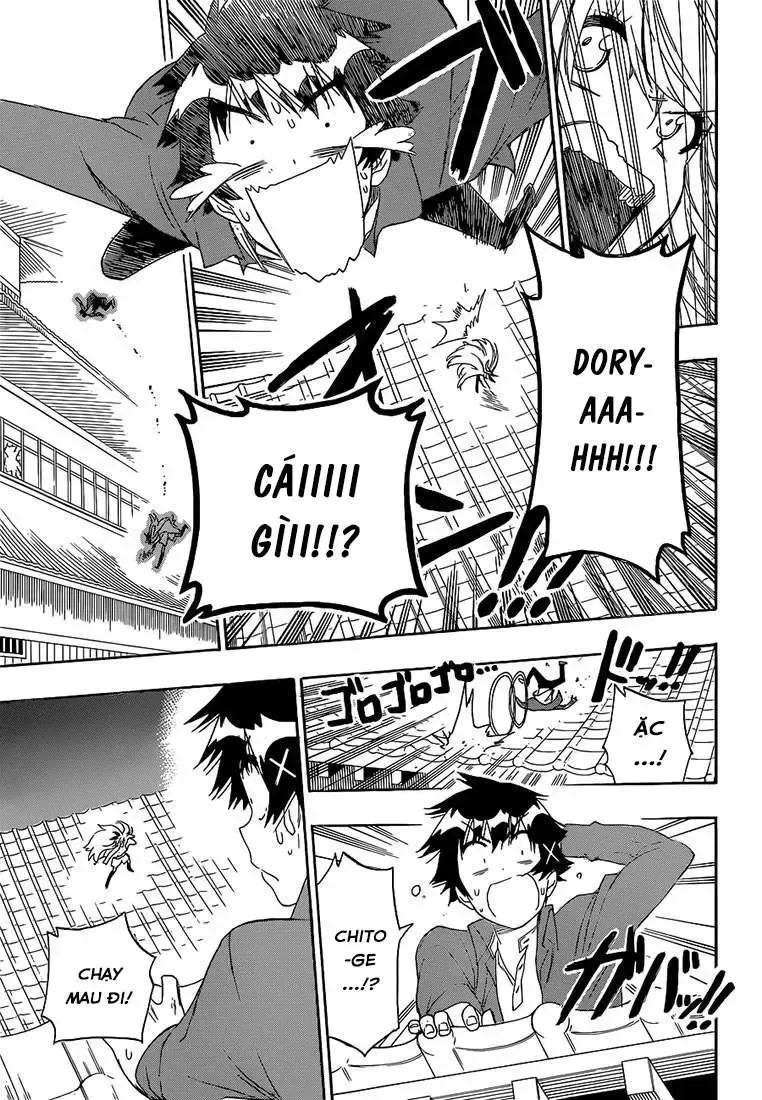 Nisekoi Chap 186 - Next Chap 187