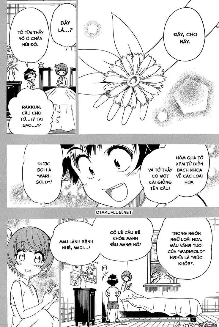 Nisekoi Chap 188 - Next Chap 189