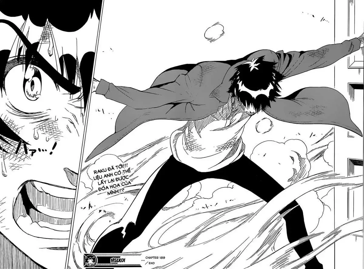 Nisekoi Chap 189 - Next Chap 190