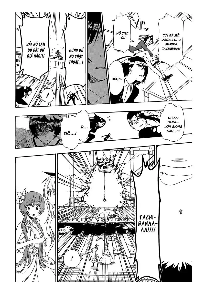 Nisekoi Chap 193 - Next Chap 194