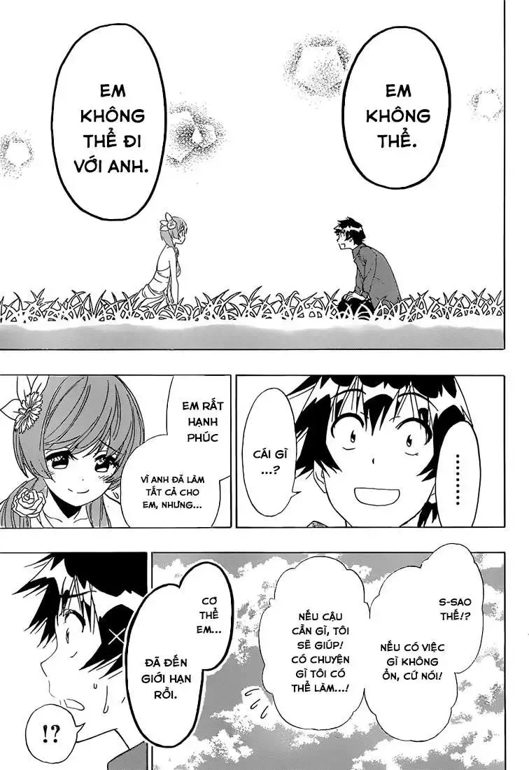 Nisekoi Chap 194 - Next Chap 195