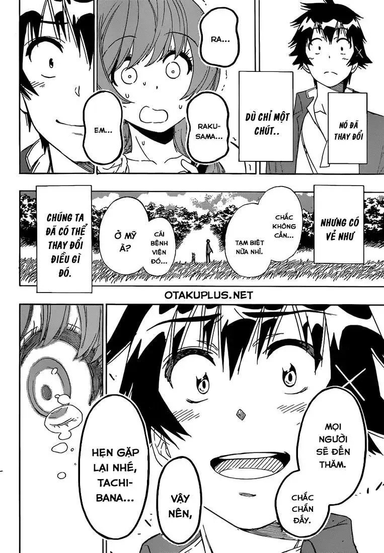 Nisekoi Chap 194 - Next Chap 195