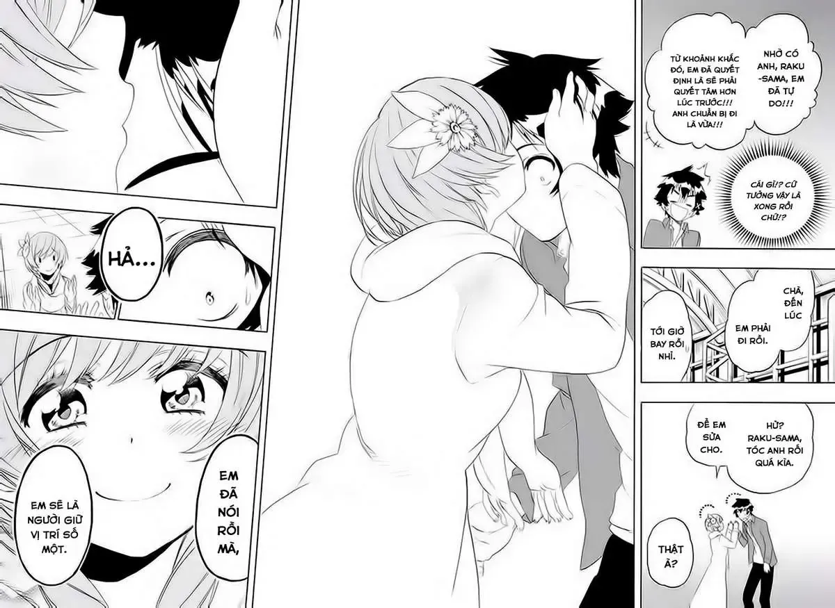 Nisekoi Chap 195 - Next Chap 196