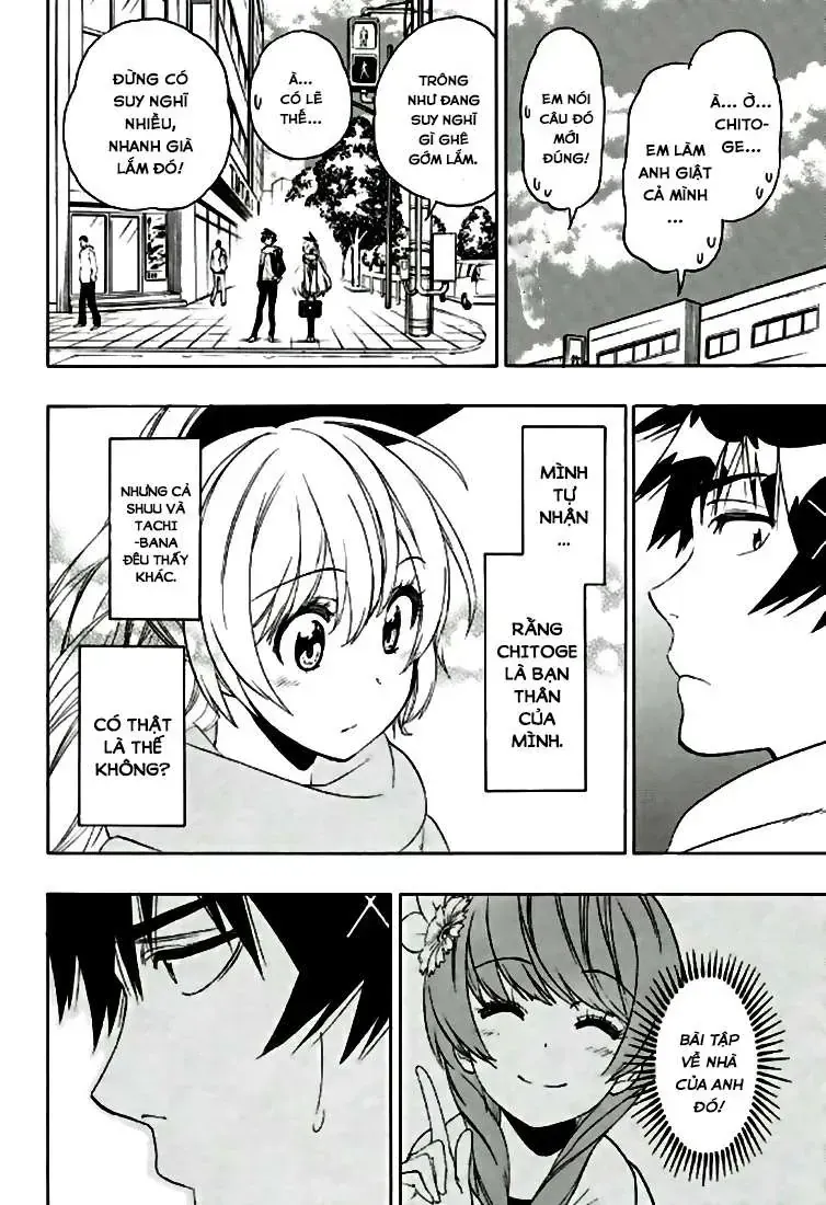 Nisekoi Chap 196 - Next Chap 197