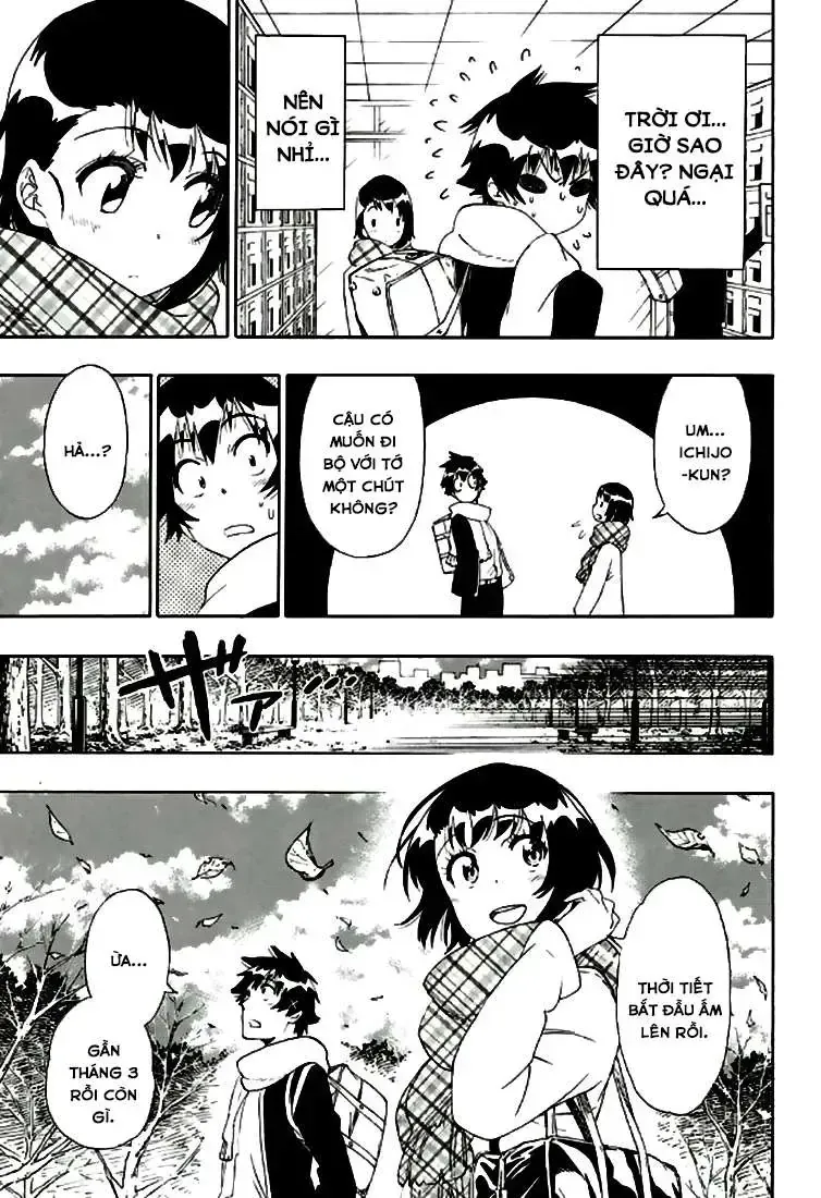 Nisekoi Chap 196 - Next Chap 197
