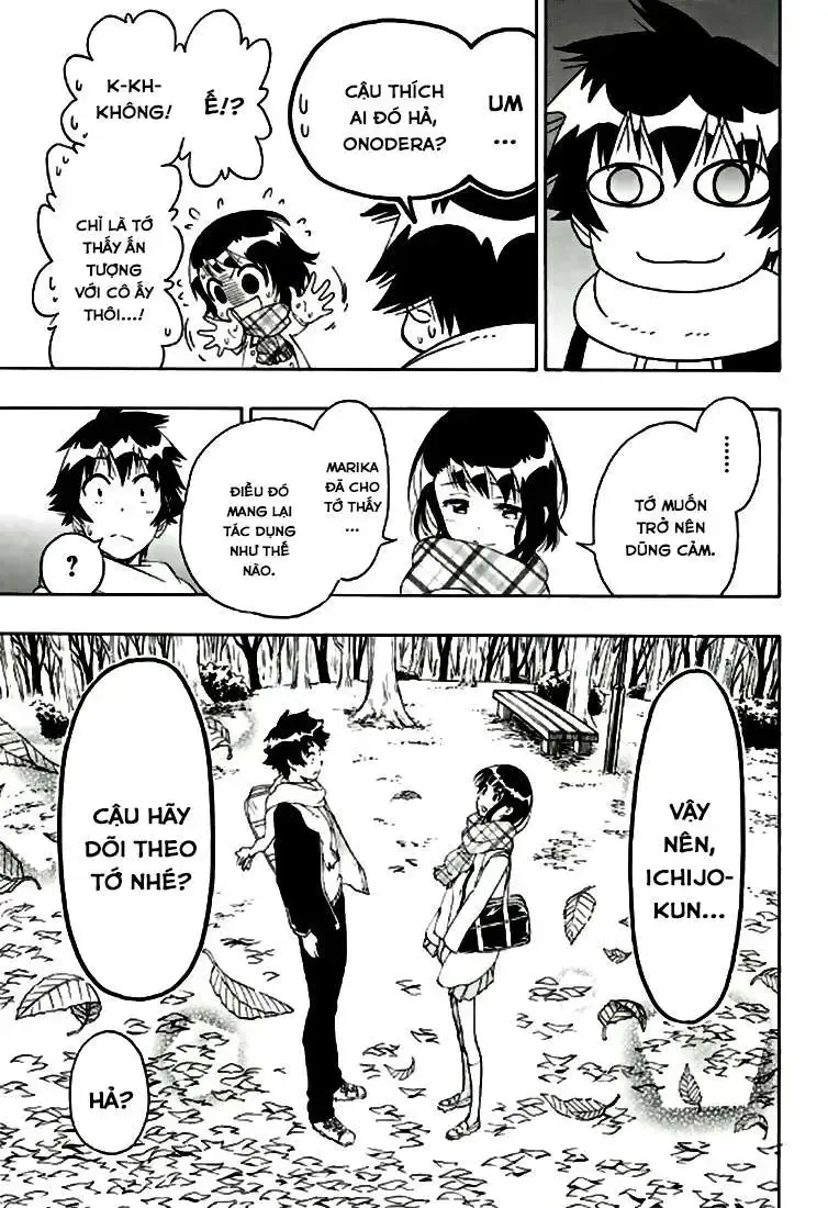 Nisekoi Chap 196 - Next Chap 197