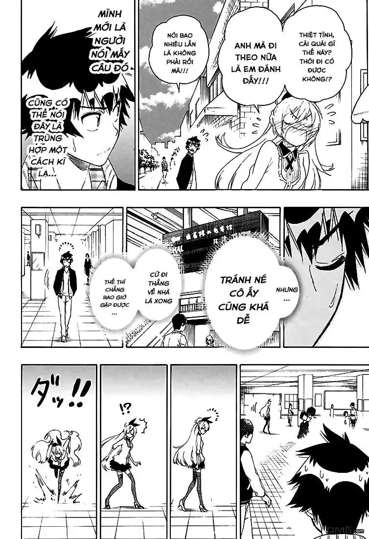 Nisekoi Chap 198 - Next Chap 199