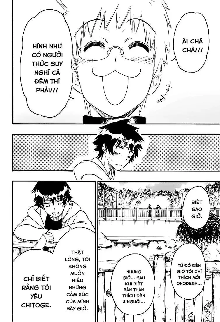 Nisekoi Chap 200 - Next Chap 201