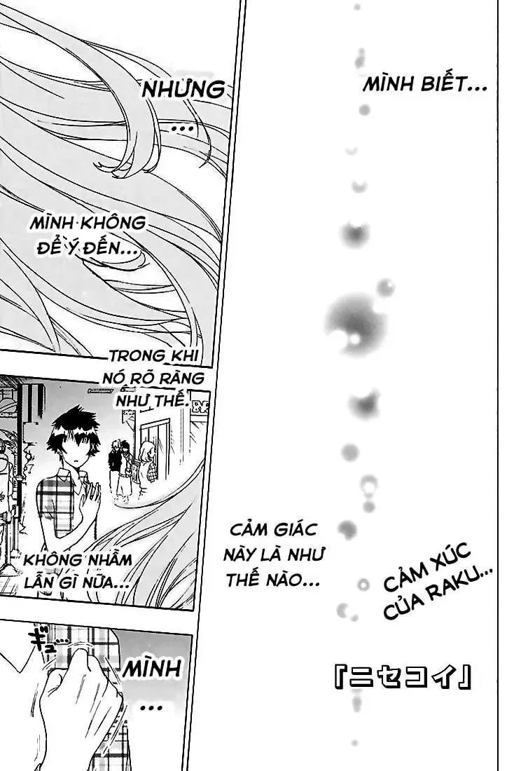 Nisekoi Chap 200 - Next Chap 201