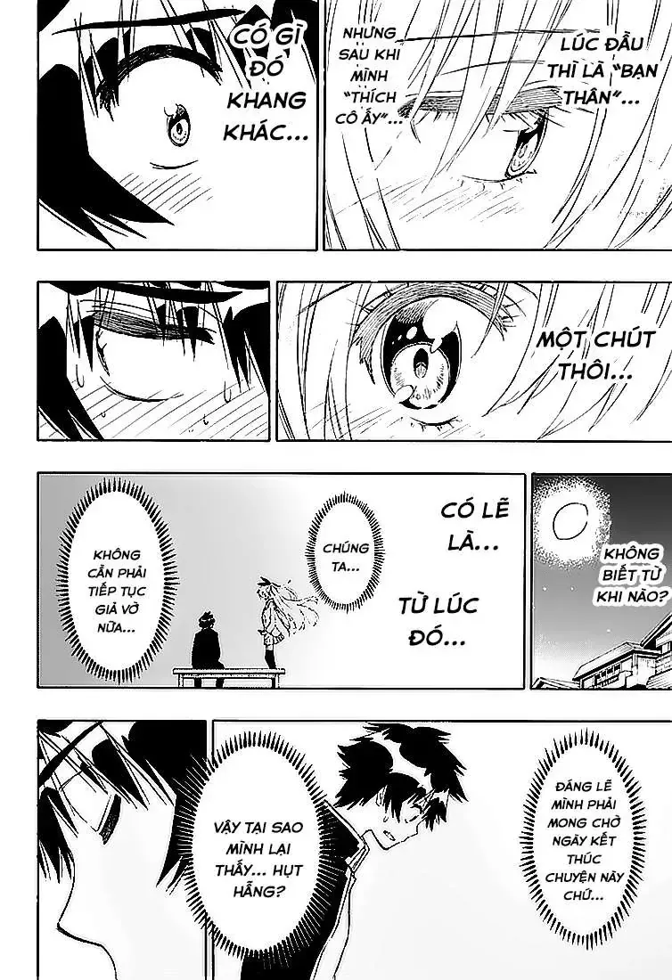 Nisekoi Chap 200 - Next Chap 201