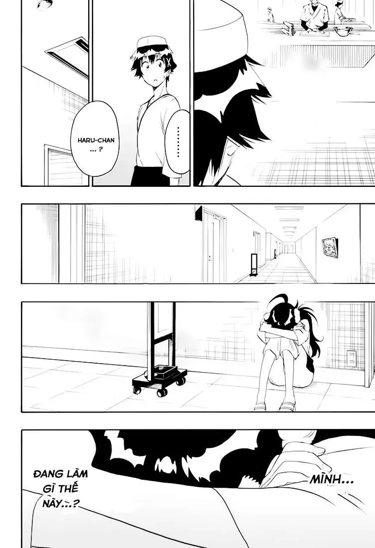 Nisekoi Chap 202 - Next Chap 203