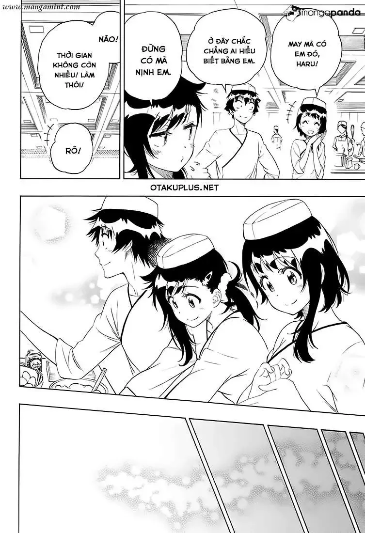 Nisekoi Chap 203 - Next Chap 204