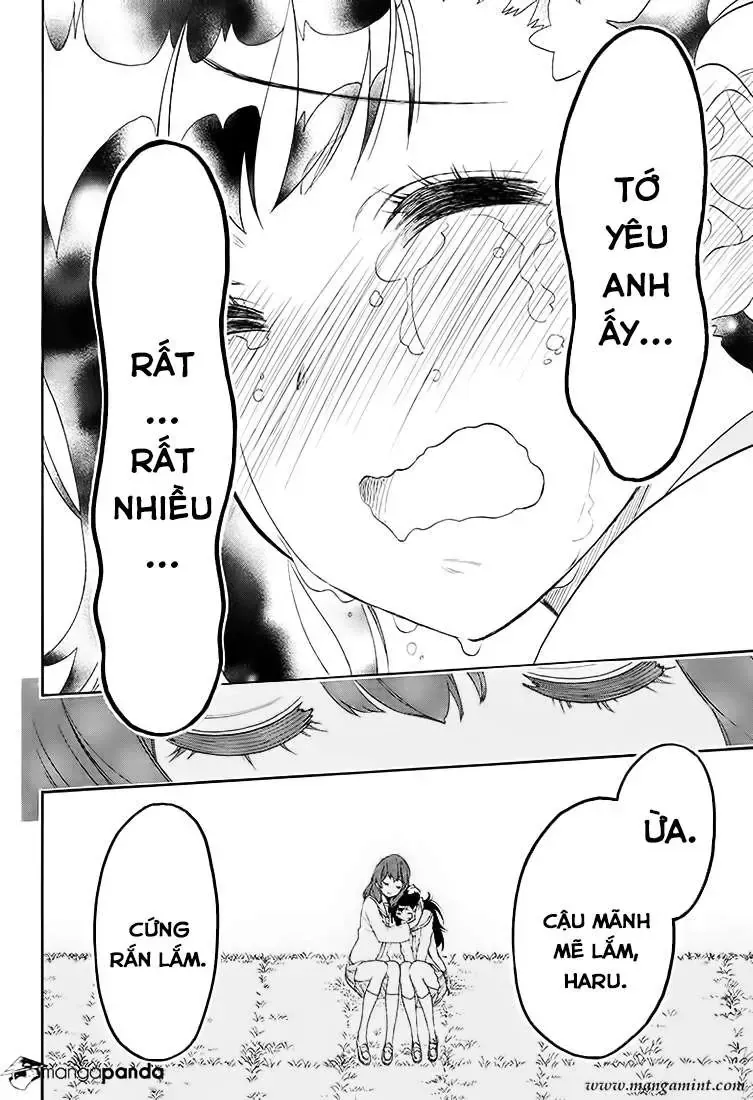 Nisekoi Chap 203 - Next Chap 204