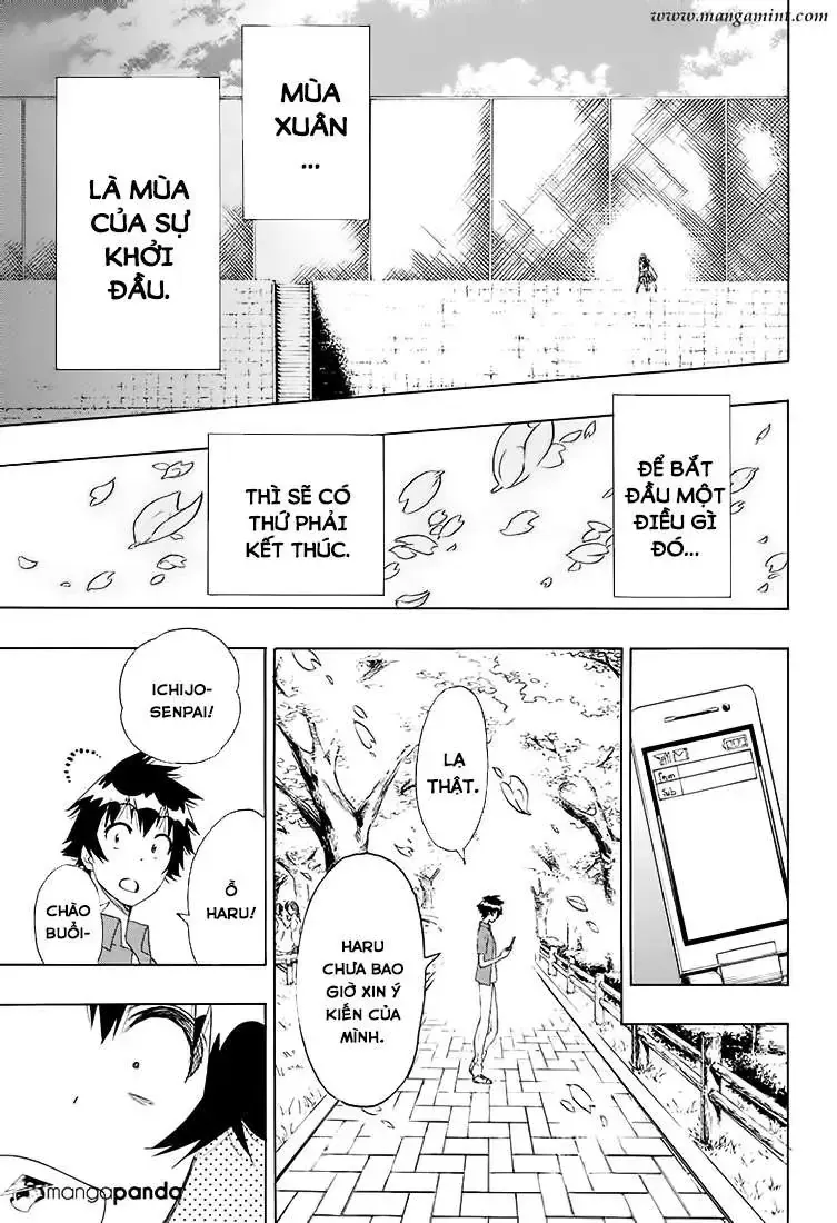 Nisekoi Chap 203 - Next Chap 204