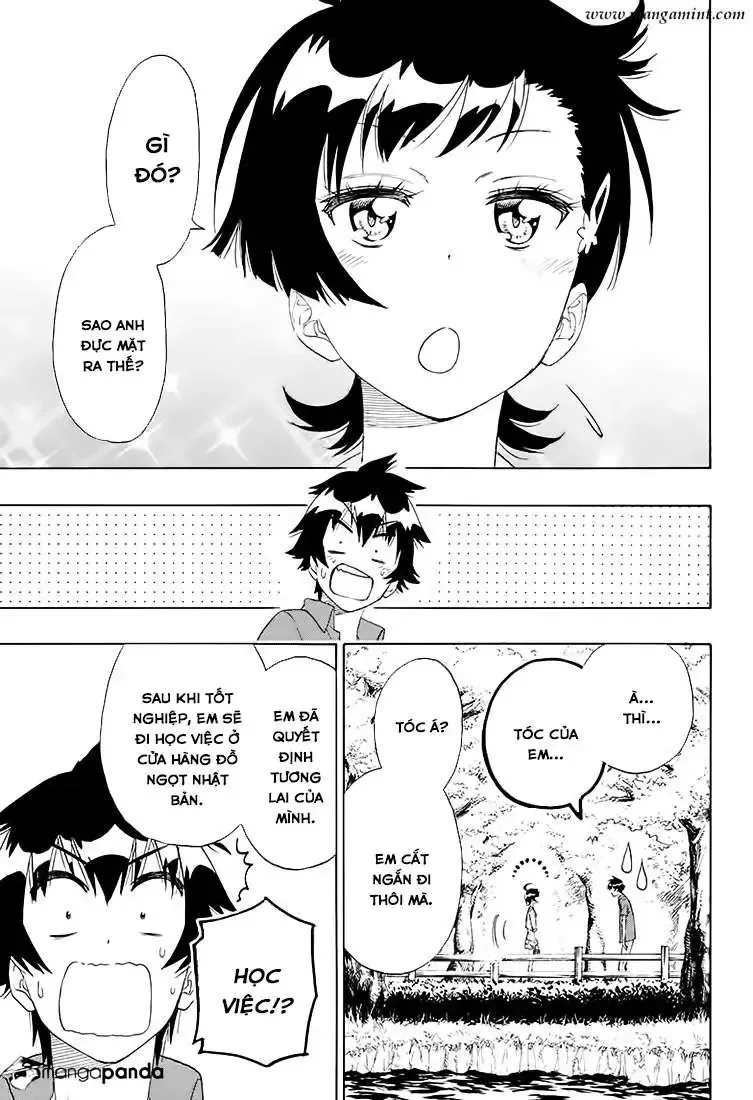 Nisekoi Chap 203 - Next Chap 204