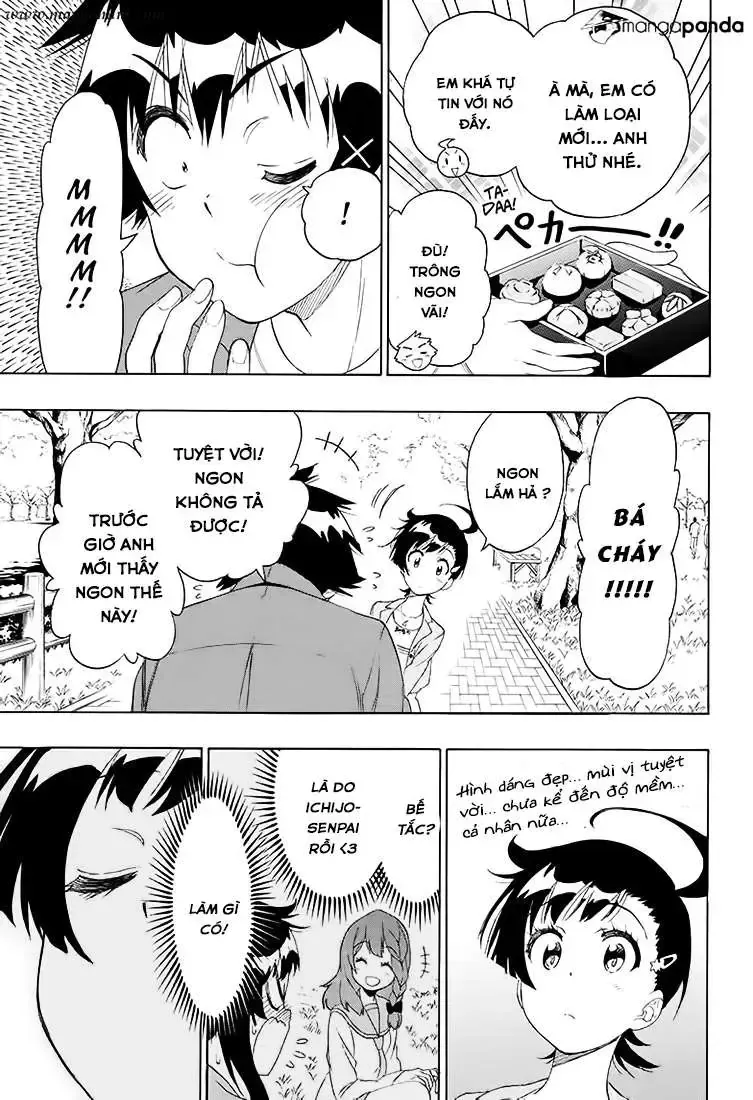 Nisekoi Chap 203 - Next Chap 204