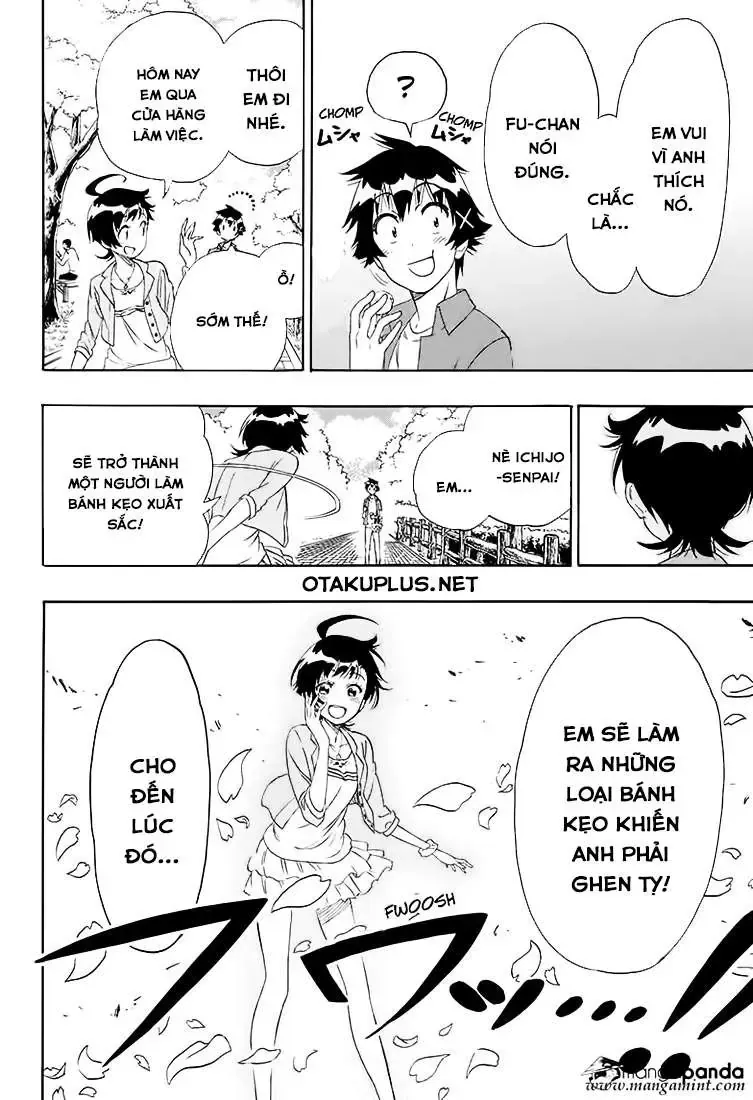 Nisekoi Chap 203 - Next Chap 204