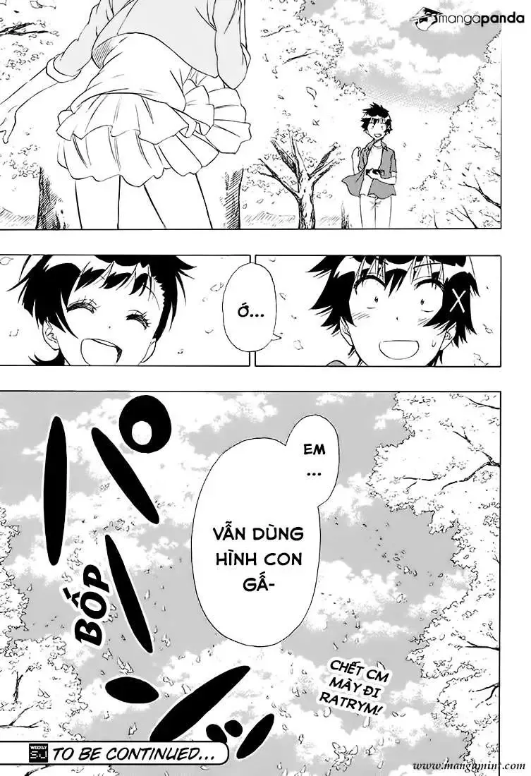 Nisekoi Chap 203 - Next Chap 204