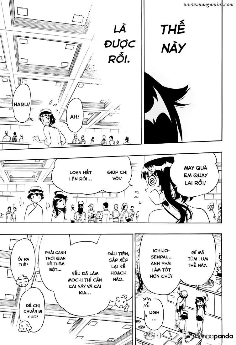 Nisekoi Chap 203 - Next Chap 204
