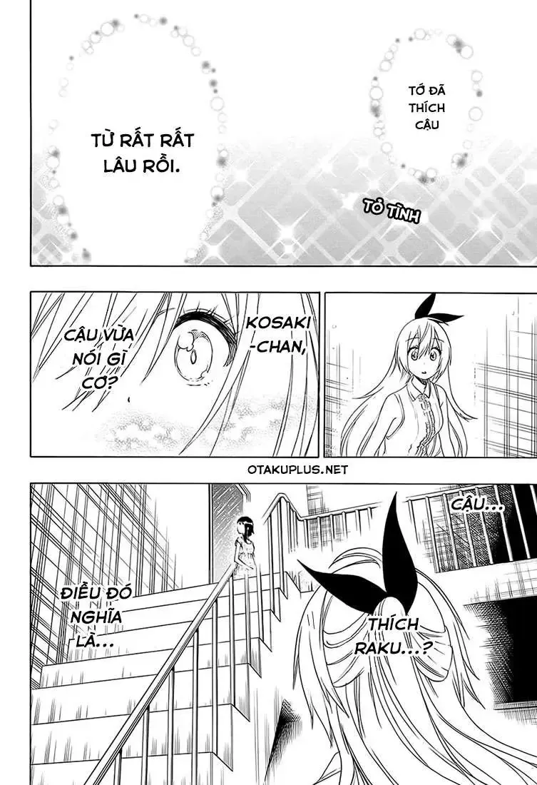 Nisekoi Chap 212 - Next Chap 213