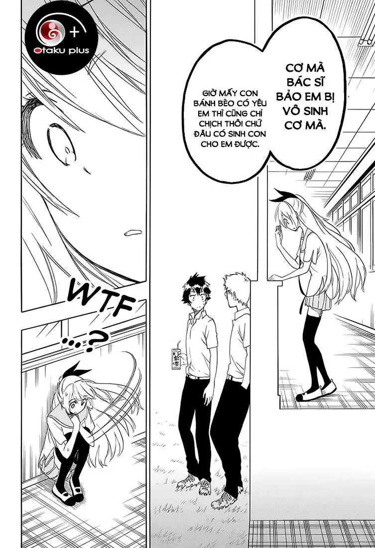 Nisekoi Chap 212 - Next Chap 213