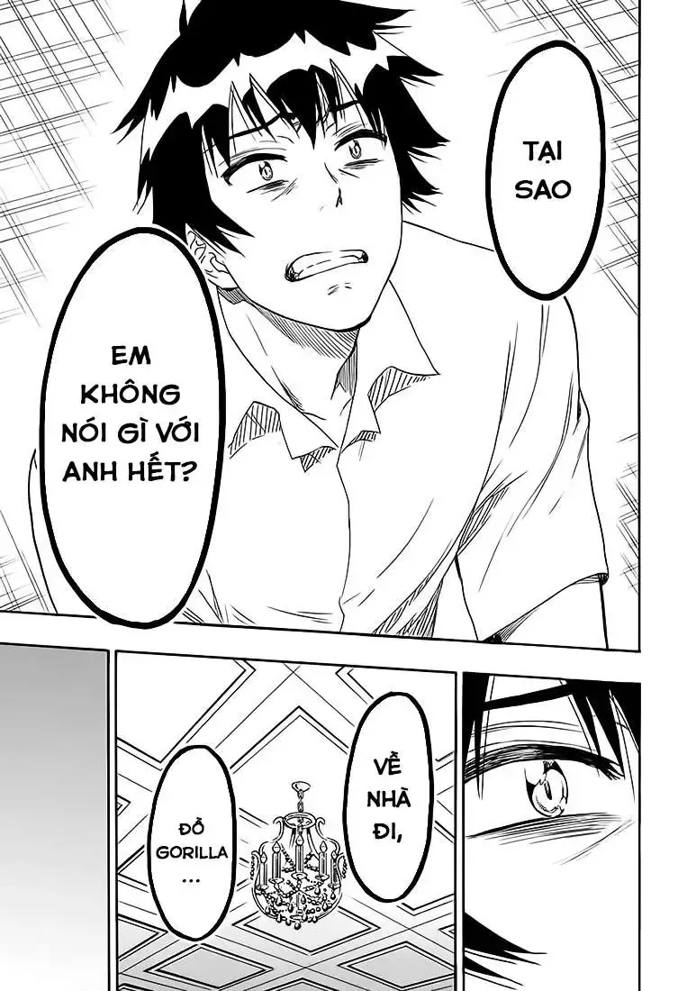 Nisekoi Chap 213 - Next Chap 214