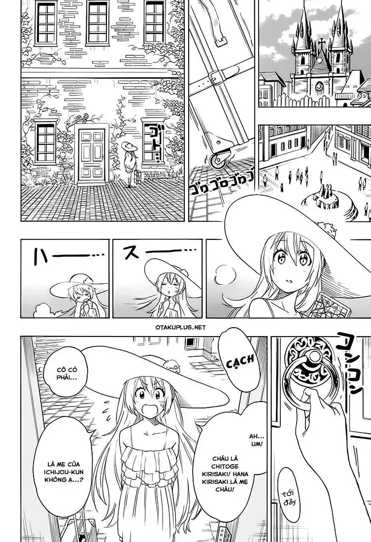 Nisekoi Chap 216 - Next Chap 217