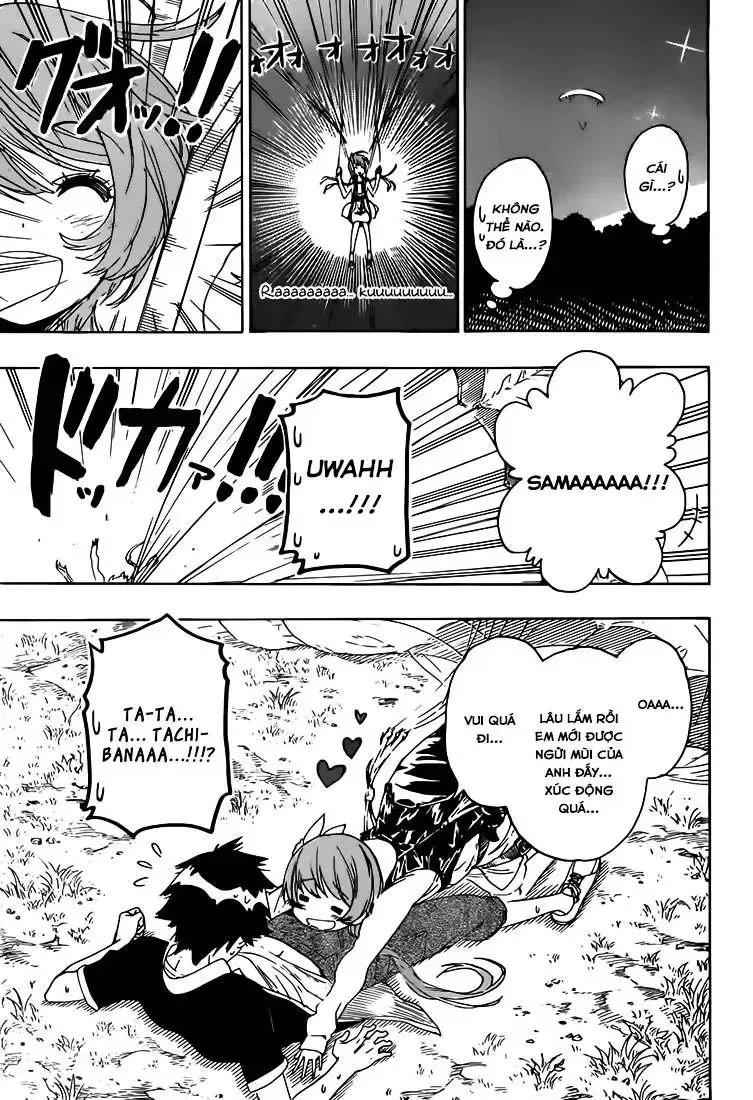 Nisekoi Chap 219 - Next Chap 220