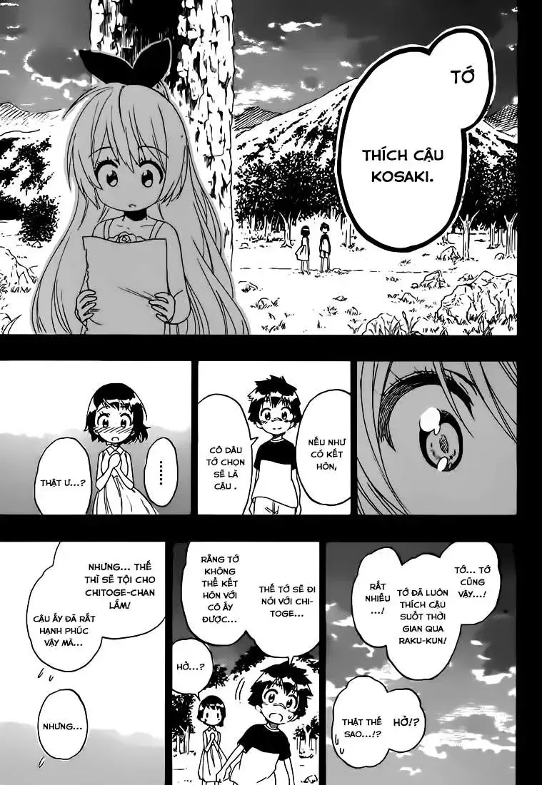Nisekoi Chap 221 - Next Chap 222