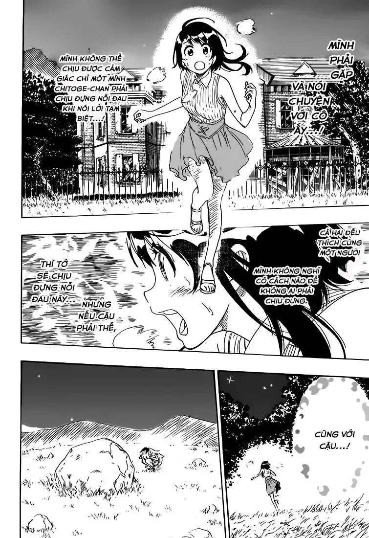 Nisekoi Chap 222 - Next Chap 223