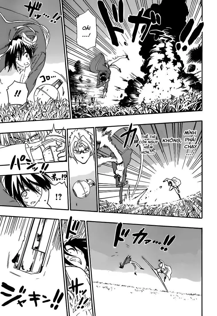 Nisekoi Chap 222 - Next Chap 223