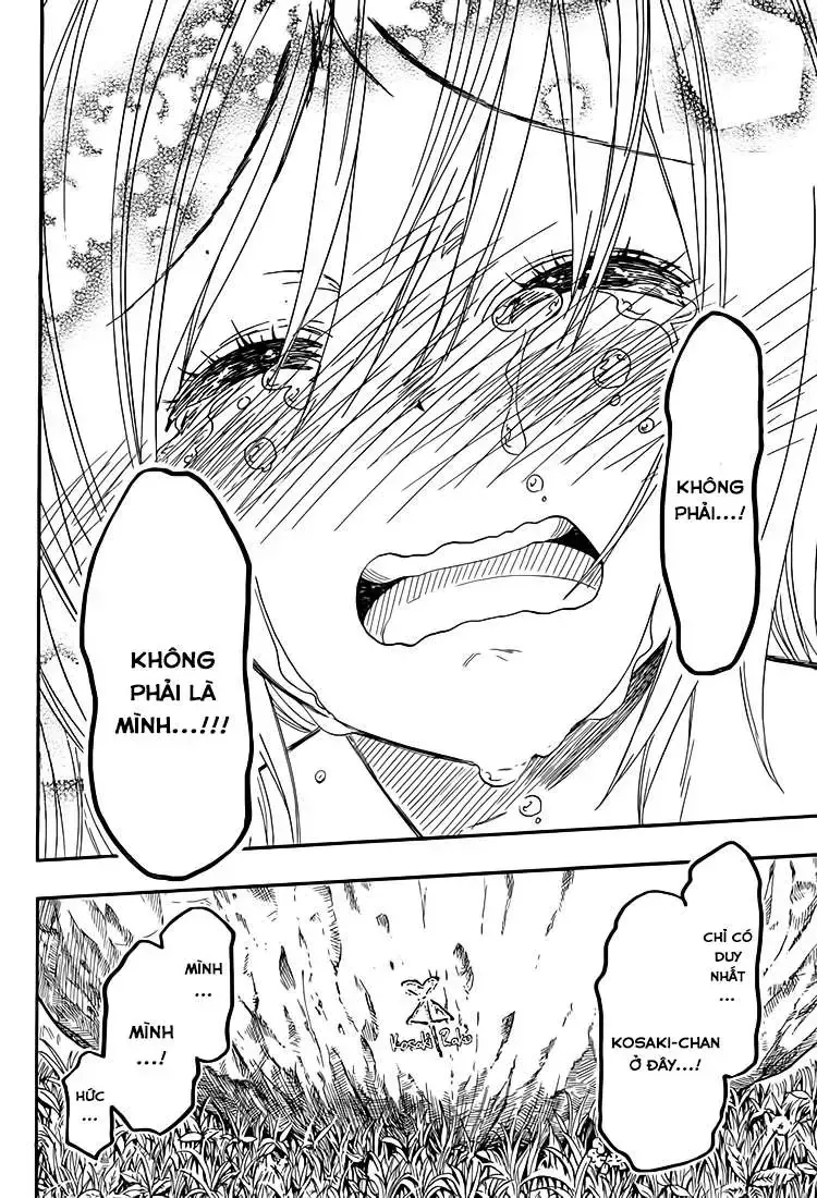 Nisekoi Chap 222 - Next Chap 223