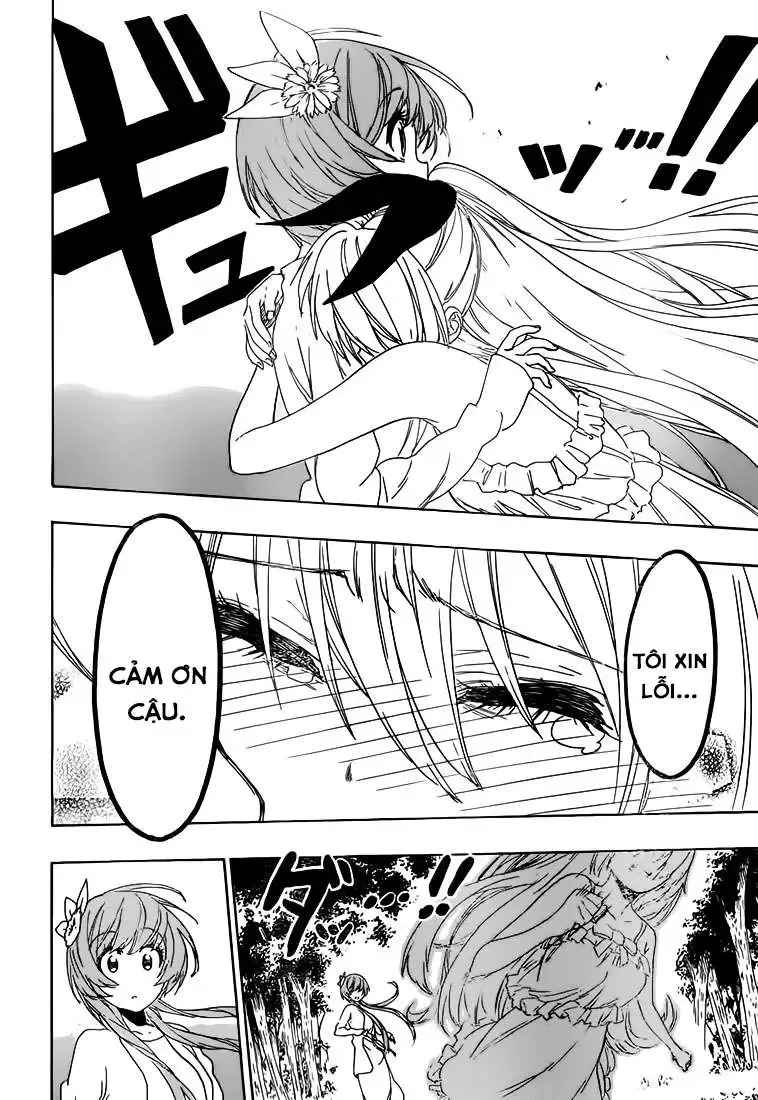 Nisekoi Chap 224 - Next Chap 225