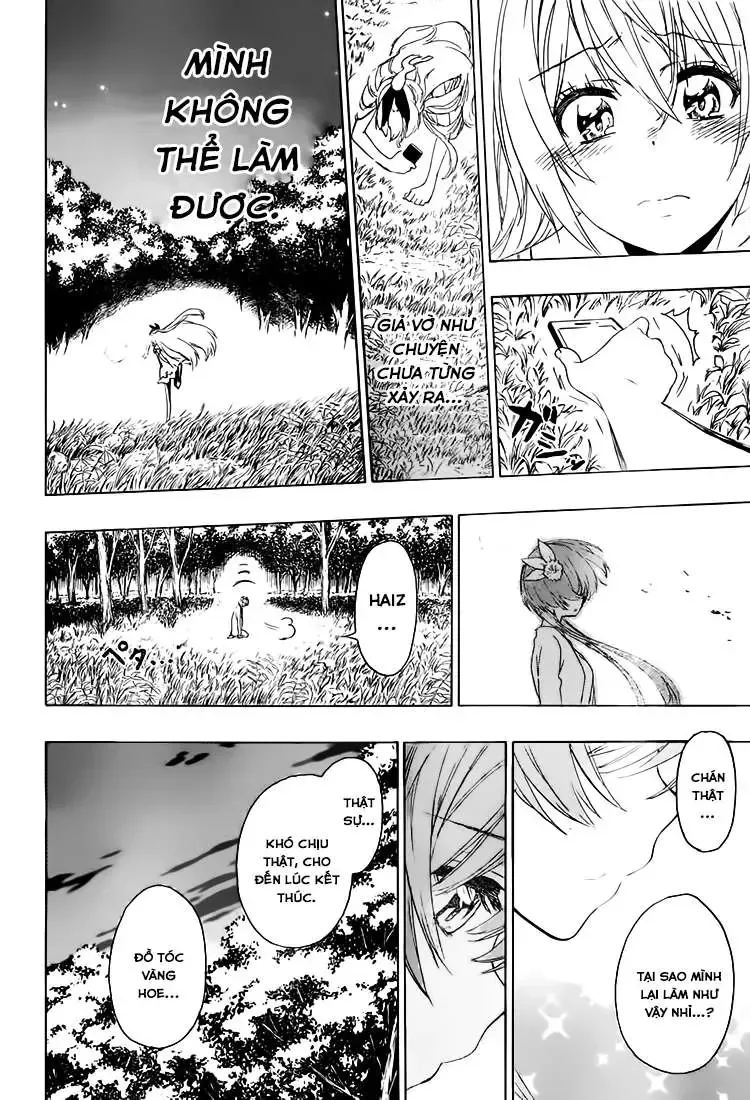 Nisekoi Chap 224 - Next Chap 225