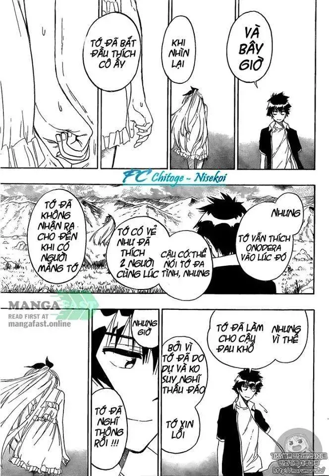 Nisekoi Chap 227 - Next Chap 228