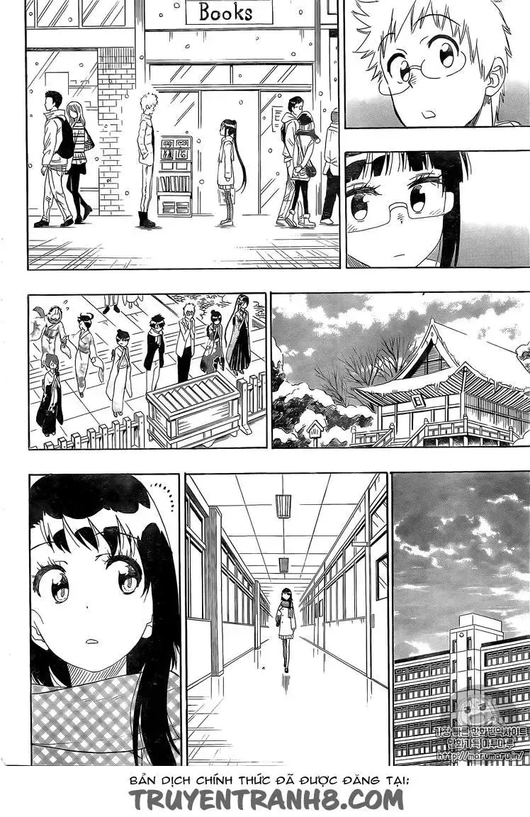 Nisekoi Chap 228 - Next Chap 229