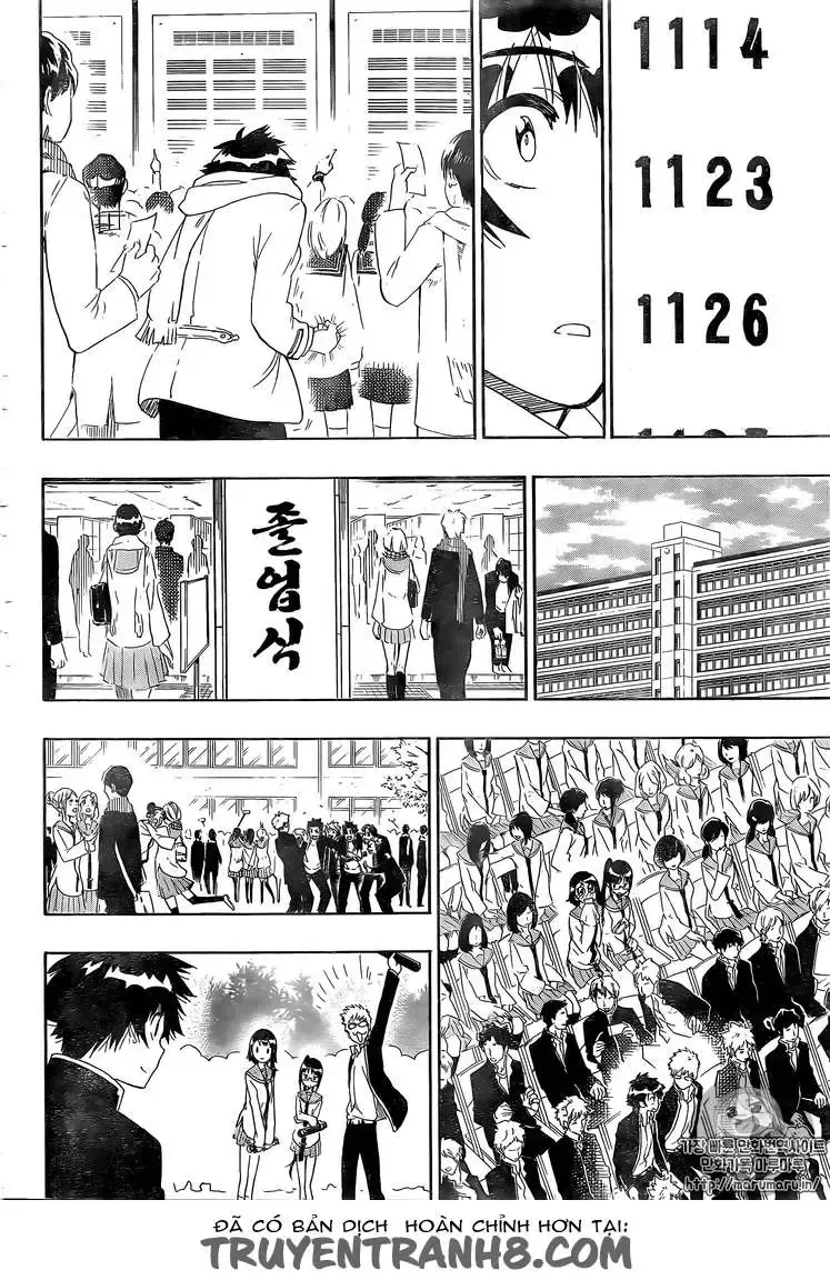 Nisekoi Chap 228 - Next Chap 229