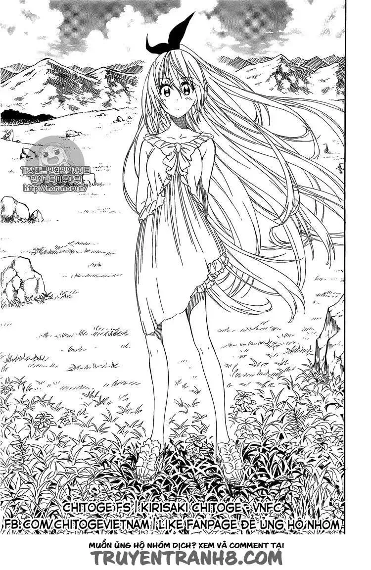 Nisekoi Chap 229 - Next Chap 230