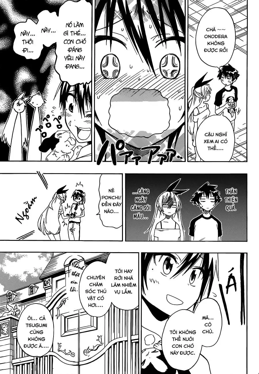 Nisekoi Chap 41 - Next Chap 42