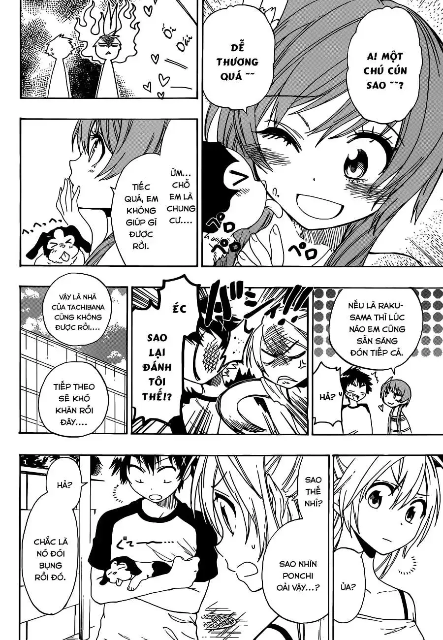 Nisekoi Chap 41 - Next Chap 42