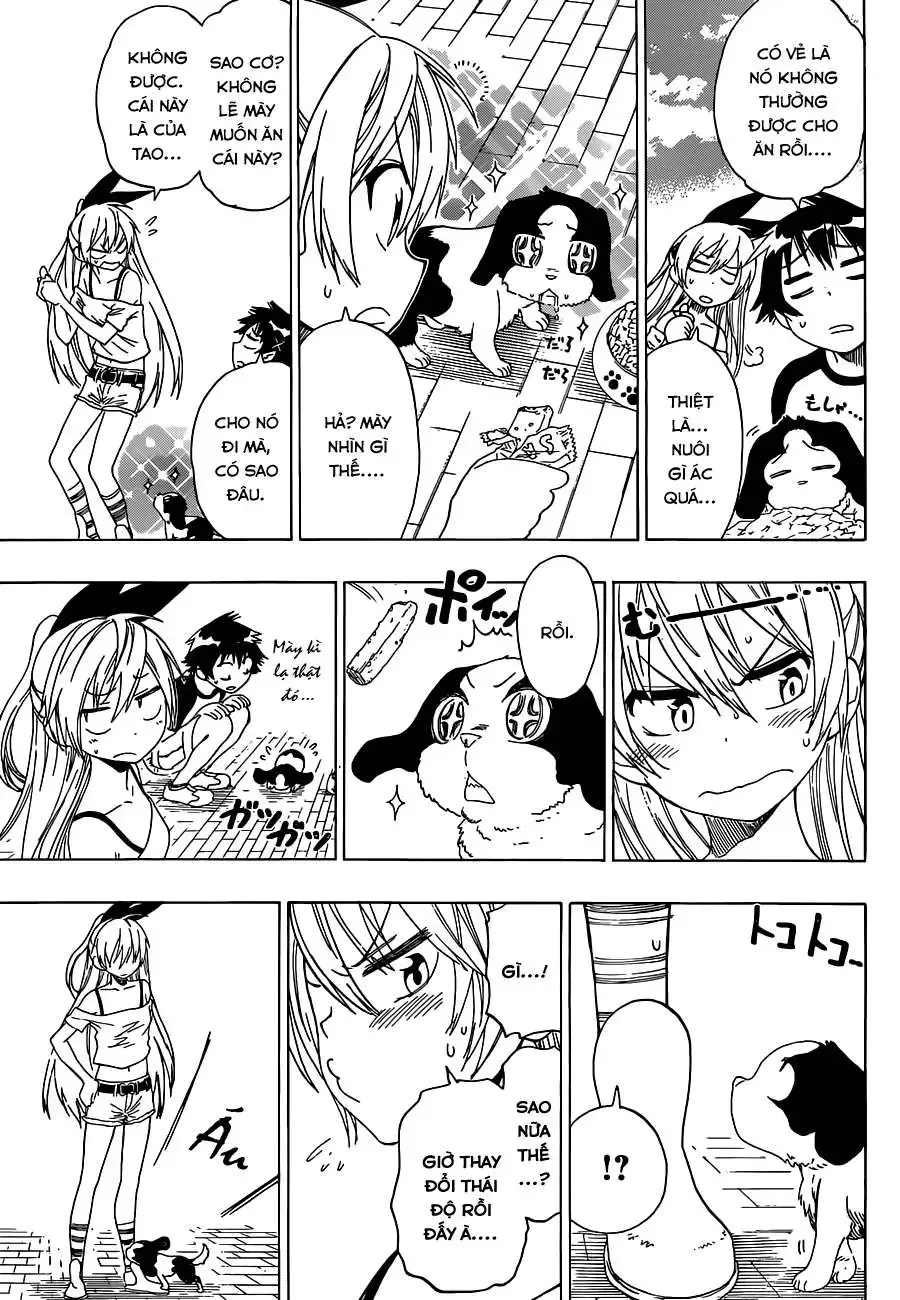Nisekoi Chap 41 - Next Chap 42