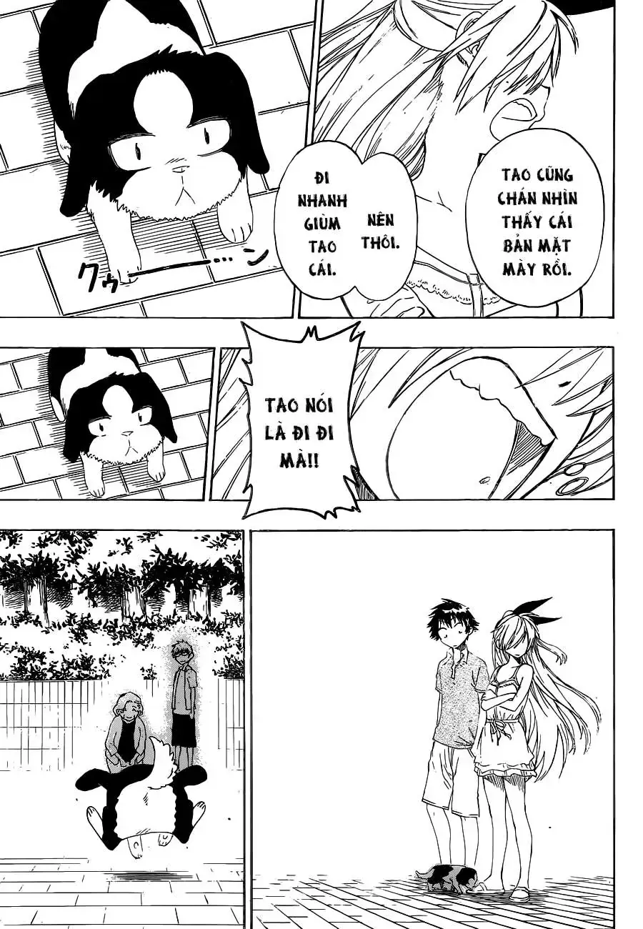Nisekoi Chap 41 - Next Chap 42