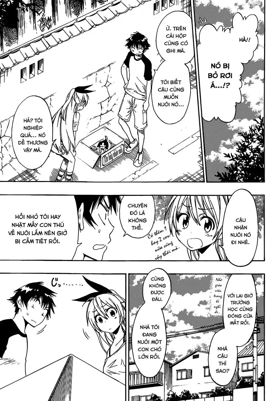 Nisekoi Chap 41 - Next Chap 42