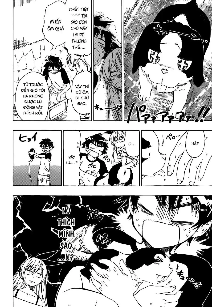 Nisekoi Chap 41 - Next Chap 42