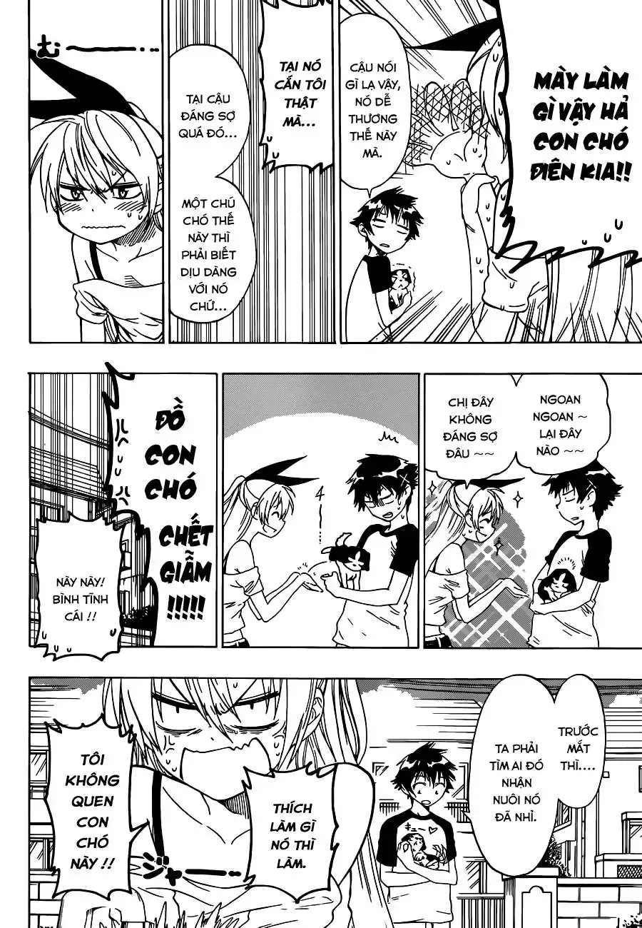 Nisekoi Chap 41 - Next Chap 42